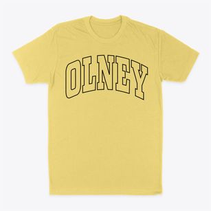 Olney Illinois Trendy Block Classic Dad T-Shirt