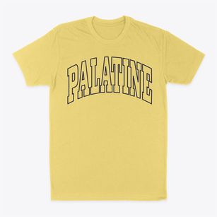Palatine New York Trendy Block Classic Dad T-Shirt