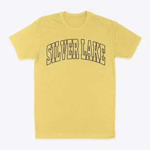 Silver Lake Ohio Trendy Block Classic Dad T-Shirt