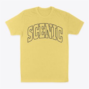 Scenic Arizona Trendy Block Classic Dad T-Shirt
