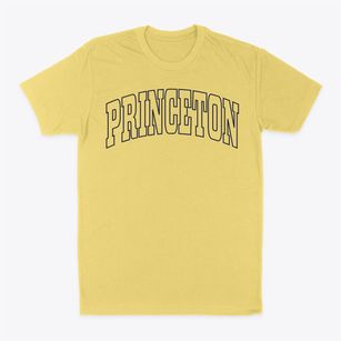 Princeton Missouri Trendy Block Classic Dad T-Shirt