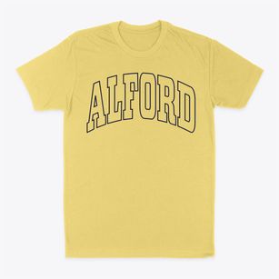 Alford Florida Trendy Block Classic Dad T-Shirt