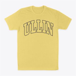 Ullin Illinois Trendy Block Classic Dad T-Shirt