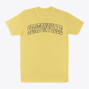 Seatonville Illinois Trendy Block Classic Dad T-Shirt