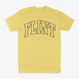 Flint Michigan Trendy Block Classic Dad T-Shirt
