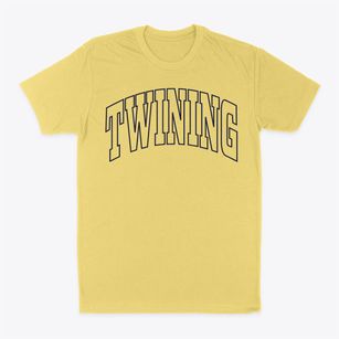 Twining Michigan Trendy Block Classic Dad T-Shirt