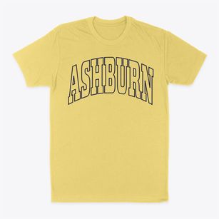 Ashburn Missouri Trendy Block Classic Dad T-Shirt