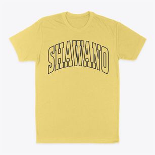 Shawano Wisconsin Trendy Block Classic Dad T-Shirt