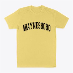 Waynesboro Georgia Varsity Classic Dad T-Shirt