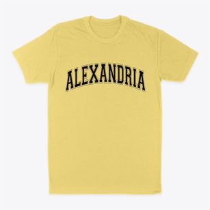 Alexandria Louisiana Varsity Classic Dad T-Shirt