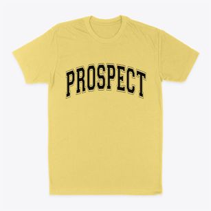 Prospect Pennsylvania Varsity Classic Dad T-Shirt