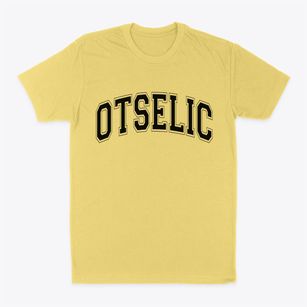 Otselic New York Varsity Classic Dad T-Shirt