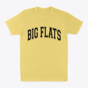 Big Flats Wisconsin Varsity Classic Dad T-Shirt