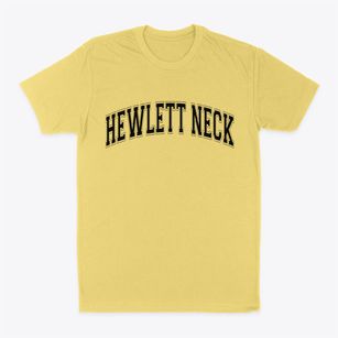 Hewlett Neck New York Varsity Classic Dad T-Shirt