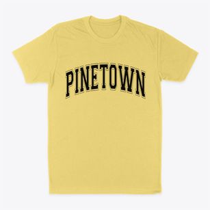 Pinetown North Carolina Varsity Classic Dad T-Shirt