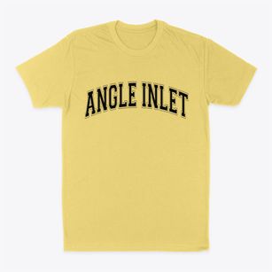 Angle Inlet Minnesota Varsity Classic Dad T-Shirt