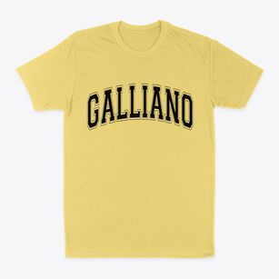 Galliano Louisiana Varsity Classic Dad T-Shirt