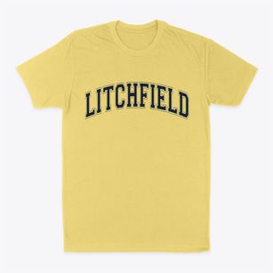 Litchfield Illinois Varsity Classic Dad T-Shirt