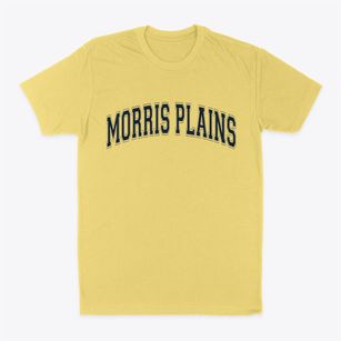Morris Plains New Jersey Varsity Classic Dad T-Shirt