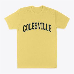 Colesville New York Varsity Classic Dad T-Shirt