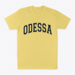 Odessa Washington Varsity Classic Dad T-Shirt