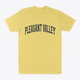 Pleasant Valley New York Varsity Classic Dad T-Shirt