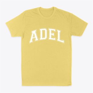 Adel Iowa Varsity Classic Dad T-Shirt
