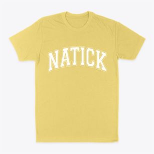 Natick Massachusetts Varsity Classic Dad T-Shirt