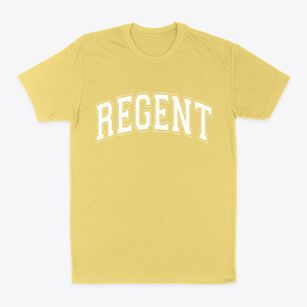 Regent North Dakota Varsity Classic Dad T-Shirt