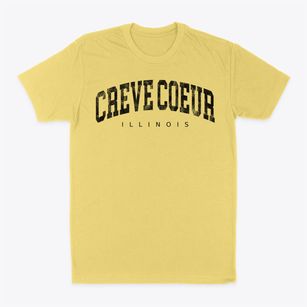 Creve Coeur Illinois Urban Vibe Classic Dad T-Shirt