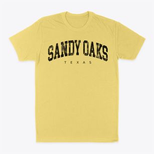 Sandy Oaks Texas Urban Vibe Classic Dad T-Shirt