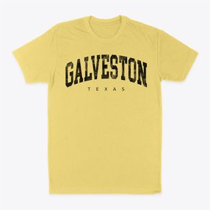 Galveston Texas Urban Vibe Classic Dad T-Shirt
