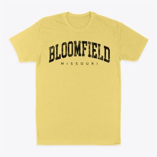 Bloomfield Missouri Urban Vibe Classic Dad T-Shirt