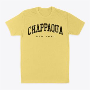 Chappaqua New York Urban Vibe Classic Dad T-Shirt