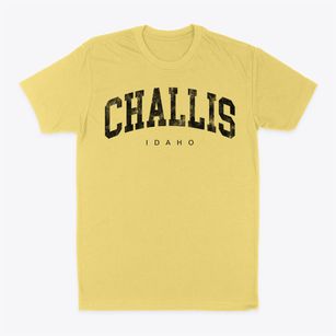 Challis Idaho Urban Vibe Classic Dad T-Shirt