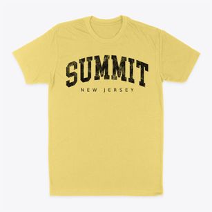 Summit New Jersey Urban Vibe Classic Dad T-Shirt