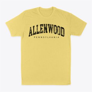 Allenwood Pennsylvania Urban Vibe Classic Dad T-Shirt