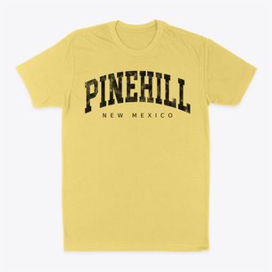 Pinehill New Mexico Urban Vibe Classic Dad T-Shirt