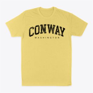 Conway Washington Urban Vibe Classic Dad T-Shirt