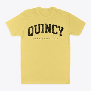 Quincy Washington Urban Vibe Classic Dad T-Shirt