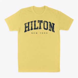 Hilton New York Urban Vibe Classic Dad T-Shirt