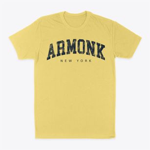 Armonk New York Urban Vibe Classic Dad T-Shirt