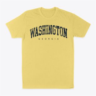 Washington Georgia Urban Vibe Classic Dad T-Shirt