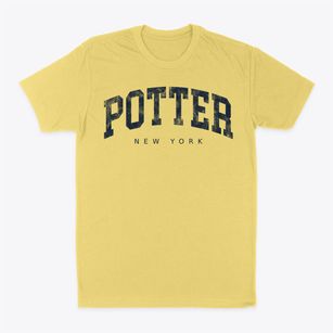 Potter New York Urban Vibe Classic Dad T-Shirt