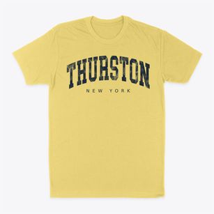 Thurston New York Urban Vibe Classic Dad T-Shirt