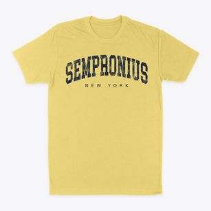 Sempronius New York Urban Vibe Classic Dad T-Shirt