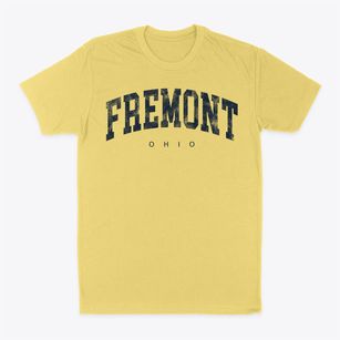 Fremont Ohio Urban Vibe Classic Dad T-Shirt