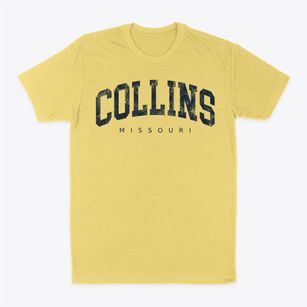 Collins Missouri Urban Vibe Classic Dad T-Shirt