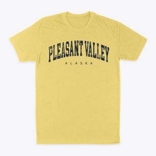 Pleasant Valley Alaska Urban Vibe Classic Dad T-Shirt