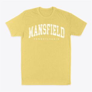 Mansfield Pennsylvania Urban Vibe Classic Dad T-Shirt